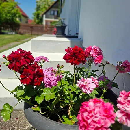Holiday home Hibiscus Nyaralo *